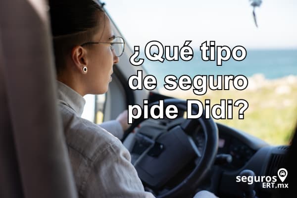 ¿Qué tipo de Seguro pide Didi?