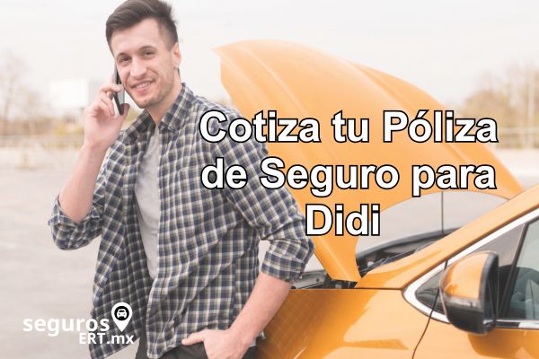 Póliza seguro DiDi