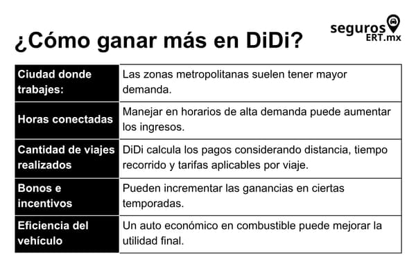 didi