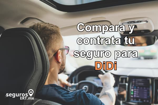 Seguro para Didi