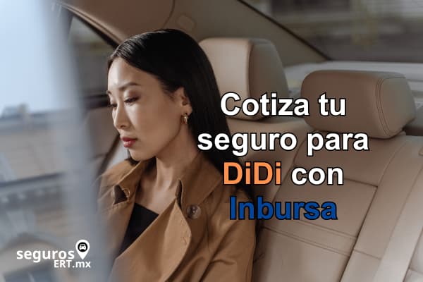 Seguro para Didi Inbursa